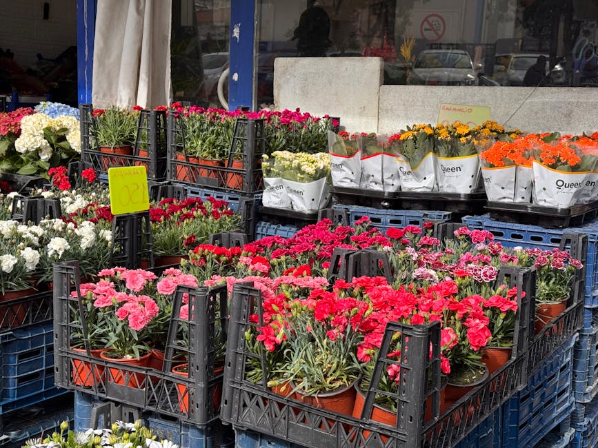 A display of colorful flowering plants arranged in black plastic crates outside a florist shop. The flowers include vibrant pink, red, orange, white, and yellow blooms, with some in small pots wrapped