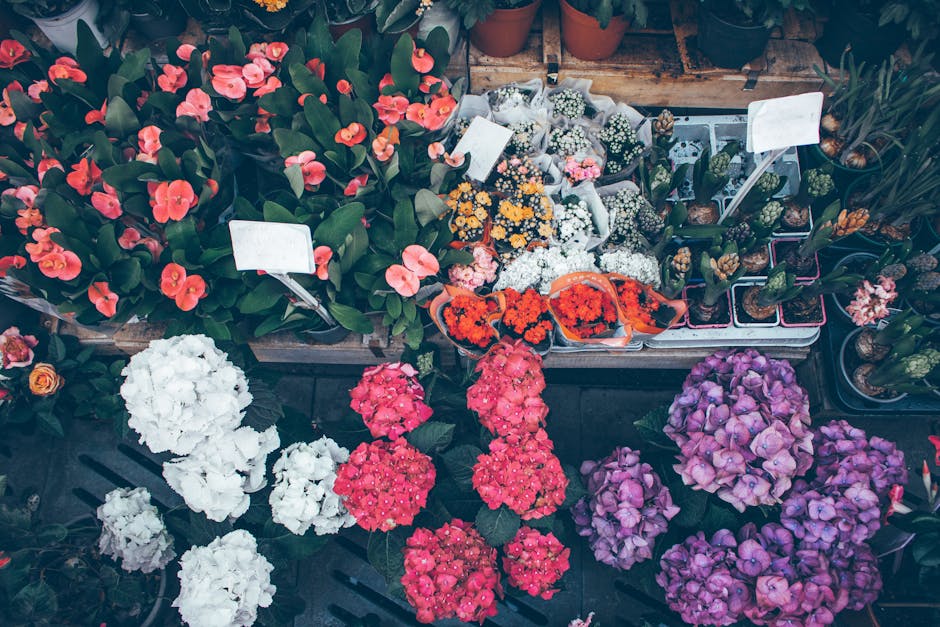 https://lambethflowers.co.uk/blog/kennington-florists-guide-top-flower-shops-in-se11-lambeth/