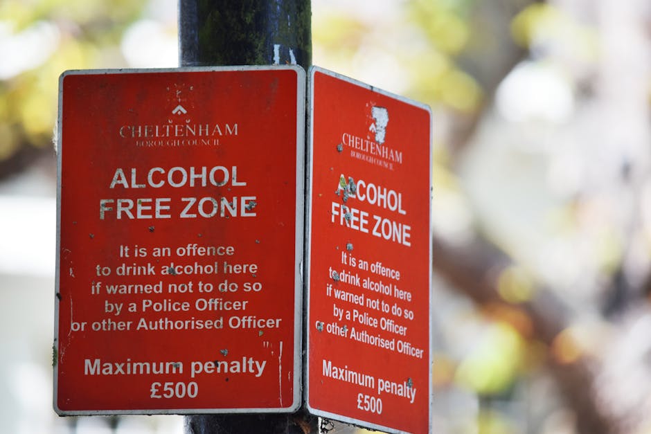 Two red metal signs with white text indicating a designated alcohol-free zone, mounted on a black pole outdoors. The signs display the Cheltenham Borough Council logo at the top, followed by the messa