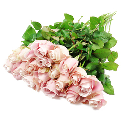 PINK ROSES SERVICE ARRANGEMENT